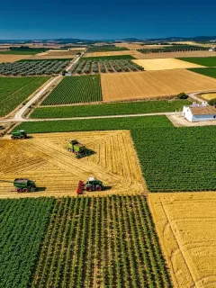 Campos agrícolas diversos en España, mostrando la productividad y extensión del sector agrario bajo la influencia de los subsidios.
