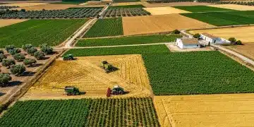 Subsidios Agrícolas en España: El Impacto de la PAC Revisada para 2026