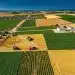 Campos agrícolas diversos en España, mostrando la productividad y extensión del sector agrario bajo la influencia de los subsidios.